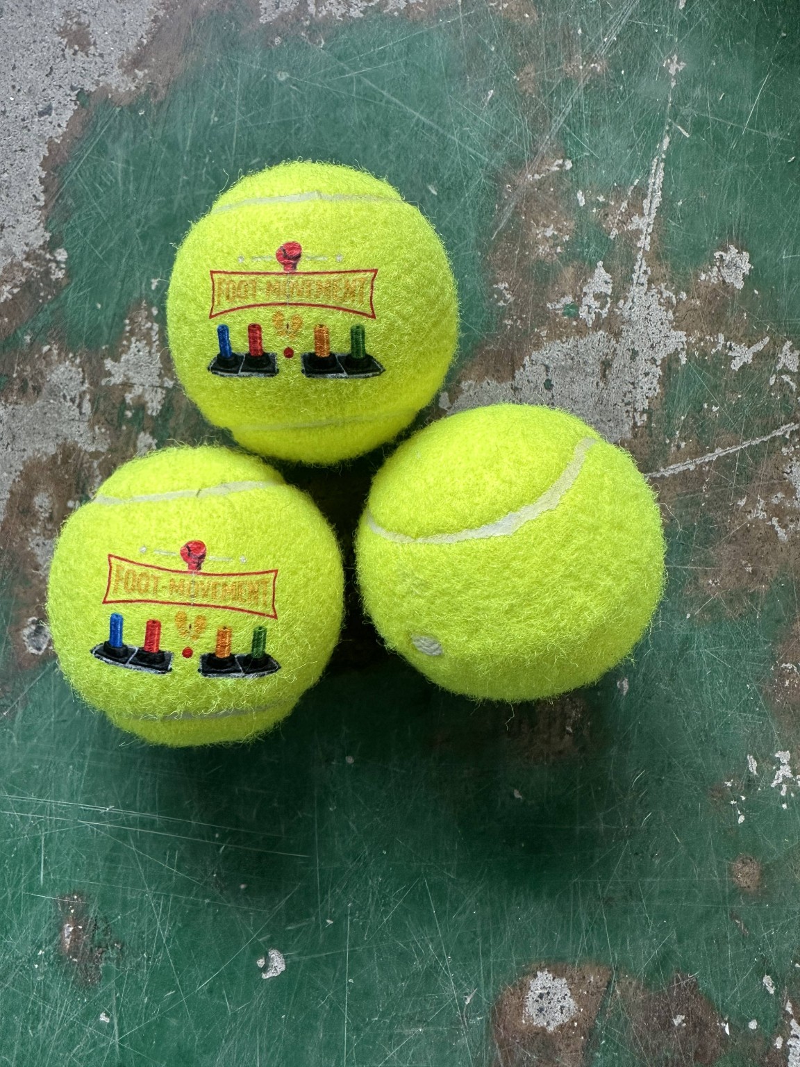 Branded Training Balls